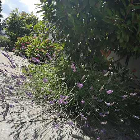 Am Pilsensee Apartmán Seefeld (Bavaria)