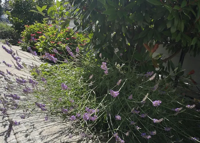 Am Pilsensee Appartement Seefeld (Bavaria)